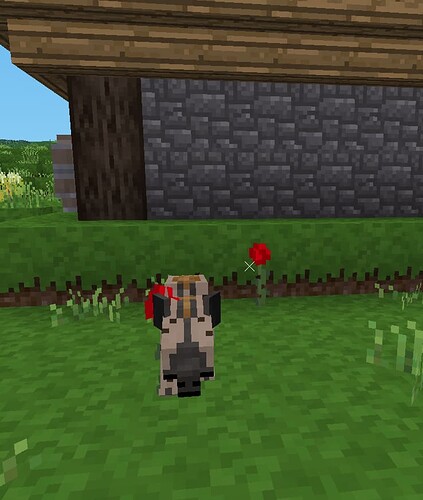 Screenshot 2025-08-11 091129